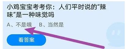 ֧��������8��7�մ�2023����ׯ԰