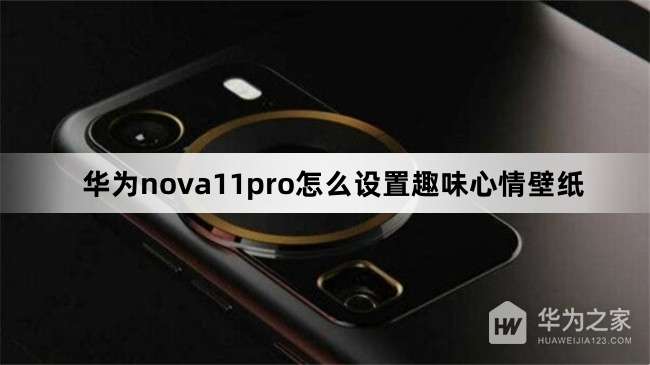 ��Ϊnova11pro��ô����Ȥζ�����ֽ