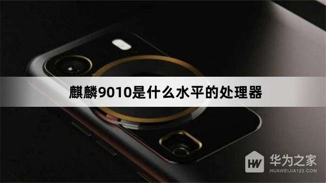 ����9010����ʲô���εĴ�����
