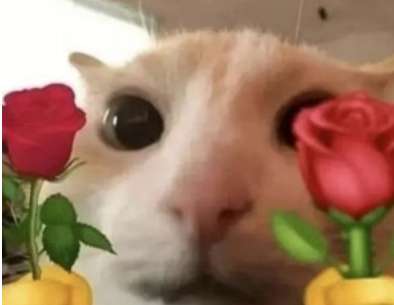 õ��õ��õ�幣��˼����