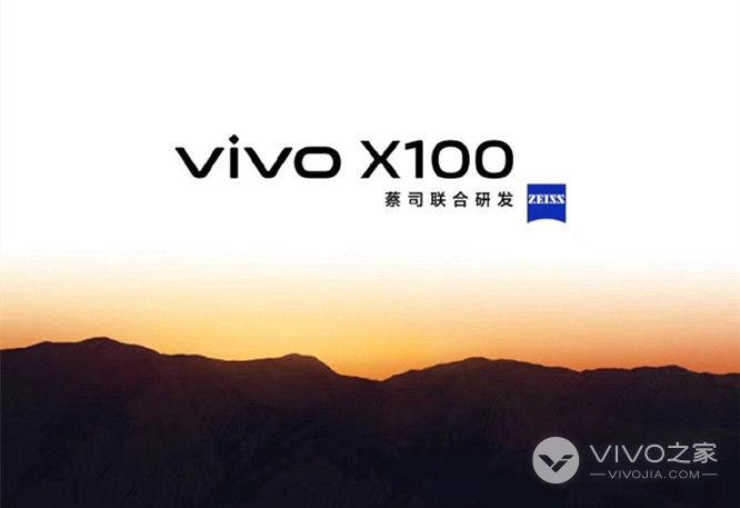 vivox100����