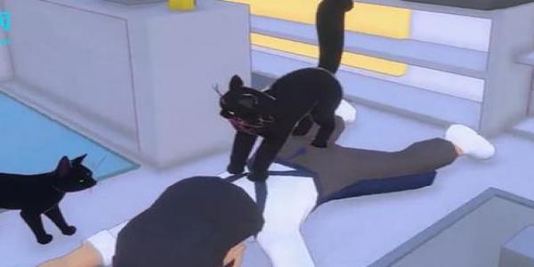 Сè�����в��̶�����ô����