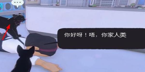 Сè�����в��̶�����ô����