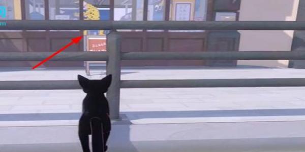 Сè�����в��̶�����ô����
