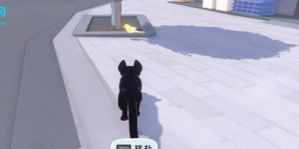 Сè�����в��̶�����ô����