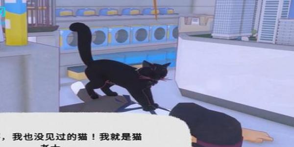 Сè�����в��̶�����ô����