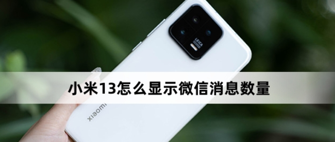 С��13��ô��ʾ�����ٶ�